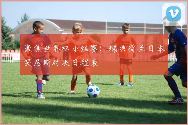 聚焦世界杯小组赛：瑞典荷兰日本突尼斯对决日程表