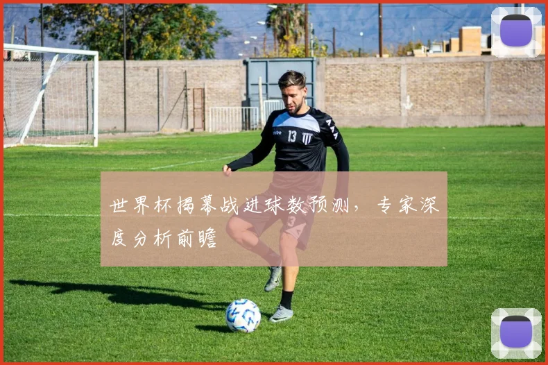 世界杯揭幕战进球数预测,专家深度分析前瞻